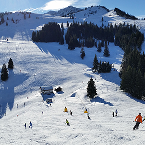 Alpen Plus Partner Skigebiet